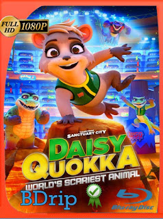 Daisy Quokka, ciudad santuario (2021) BDRip [1080p] Latino [GoogleDrive] PGD