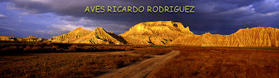 Aves Ricardo Rodriguez