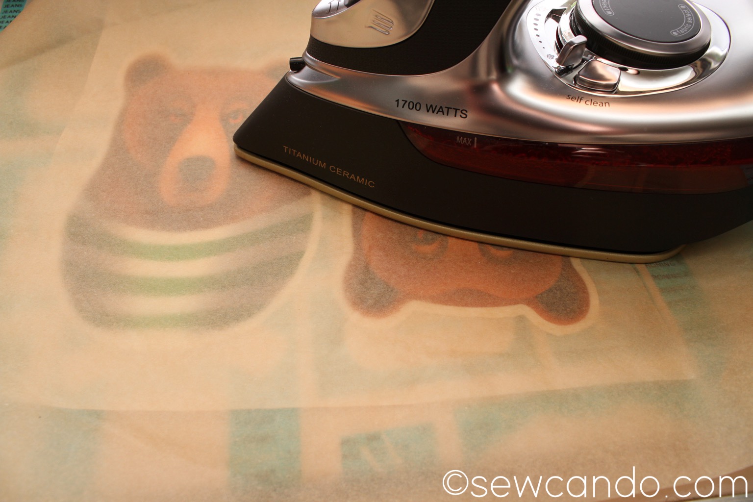 Sew Can Do Sewing with Fabric Rapports + NoIron Applique Technique