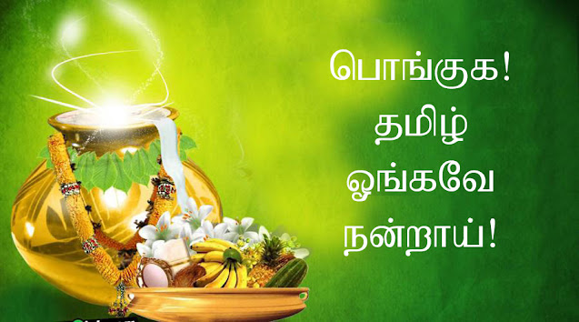 pongal.jpg