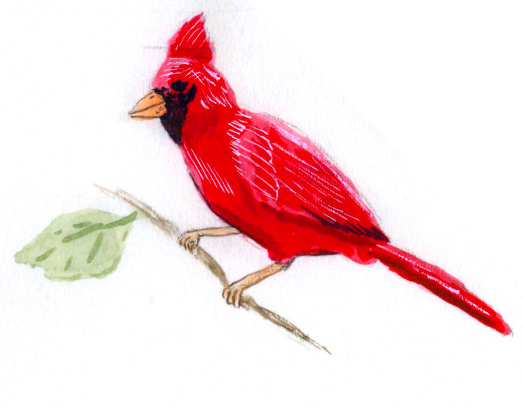 Bird In Everything Red Bird Paintings