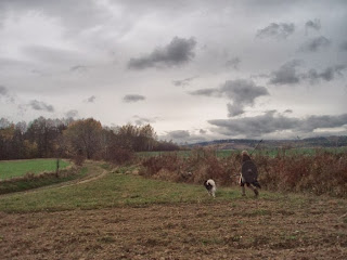 Bukowy Las: Limes Saxoniae