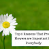 Top 5 Reasons That Prove Flowers are Important for Everybody