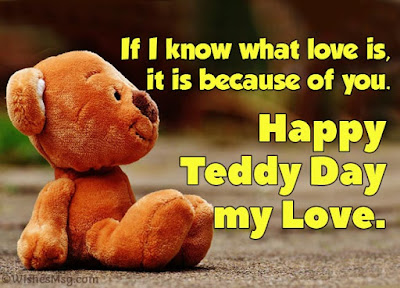 happy teddy day to my boyfriend