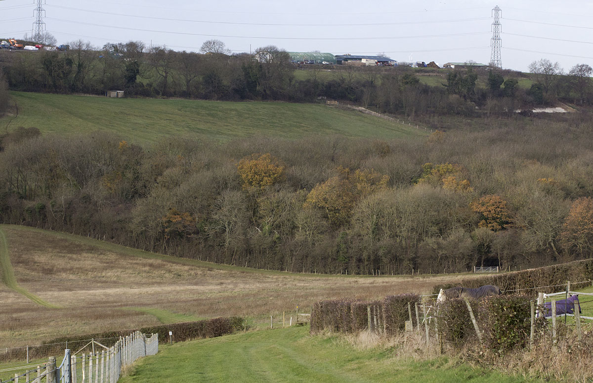 The Valley Behind Leaves Green Naturally