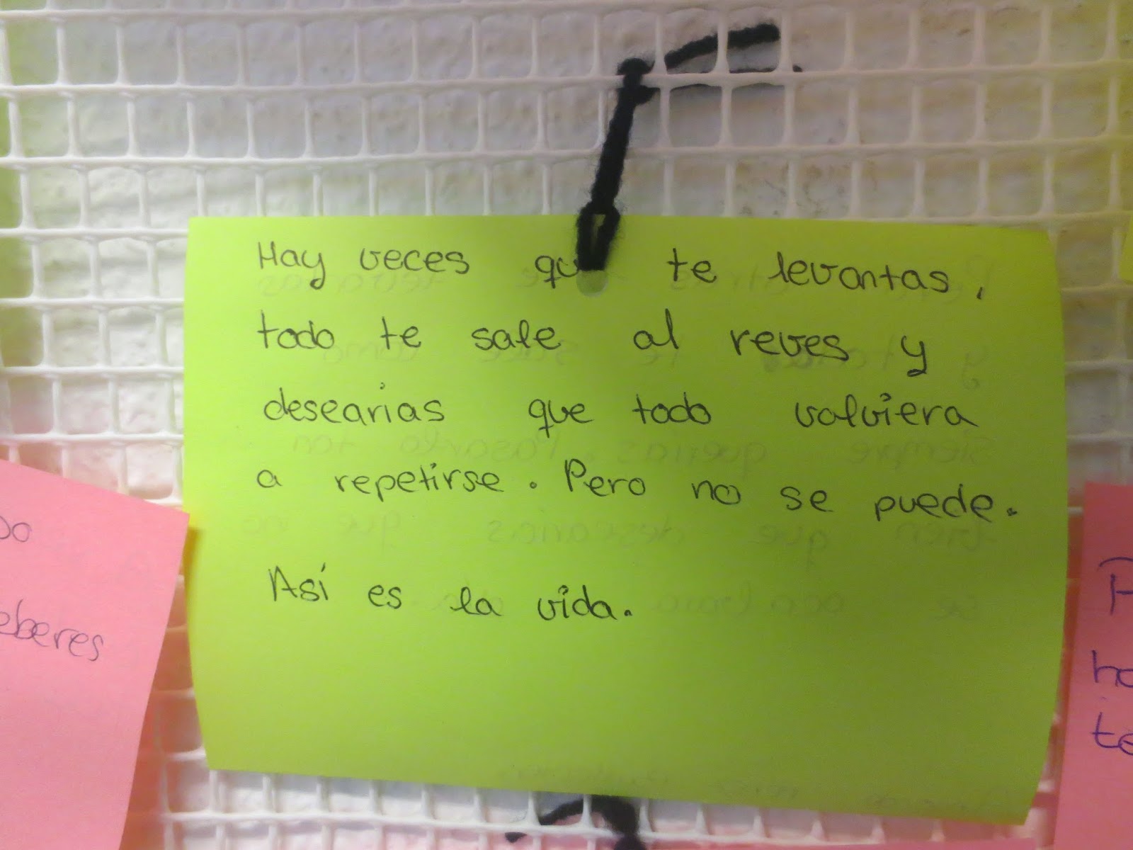 Las Madres Del Cole Me Ignoran