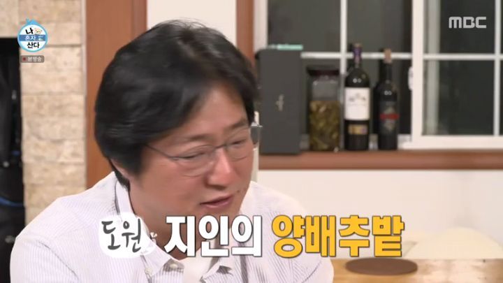 [나혼자산다] 양파 주워 먹다 죽을 뻔한 곽도원 - 꾸르