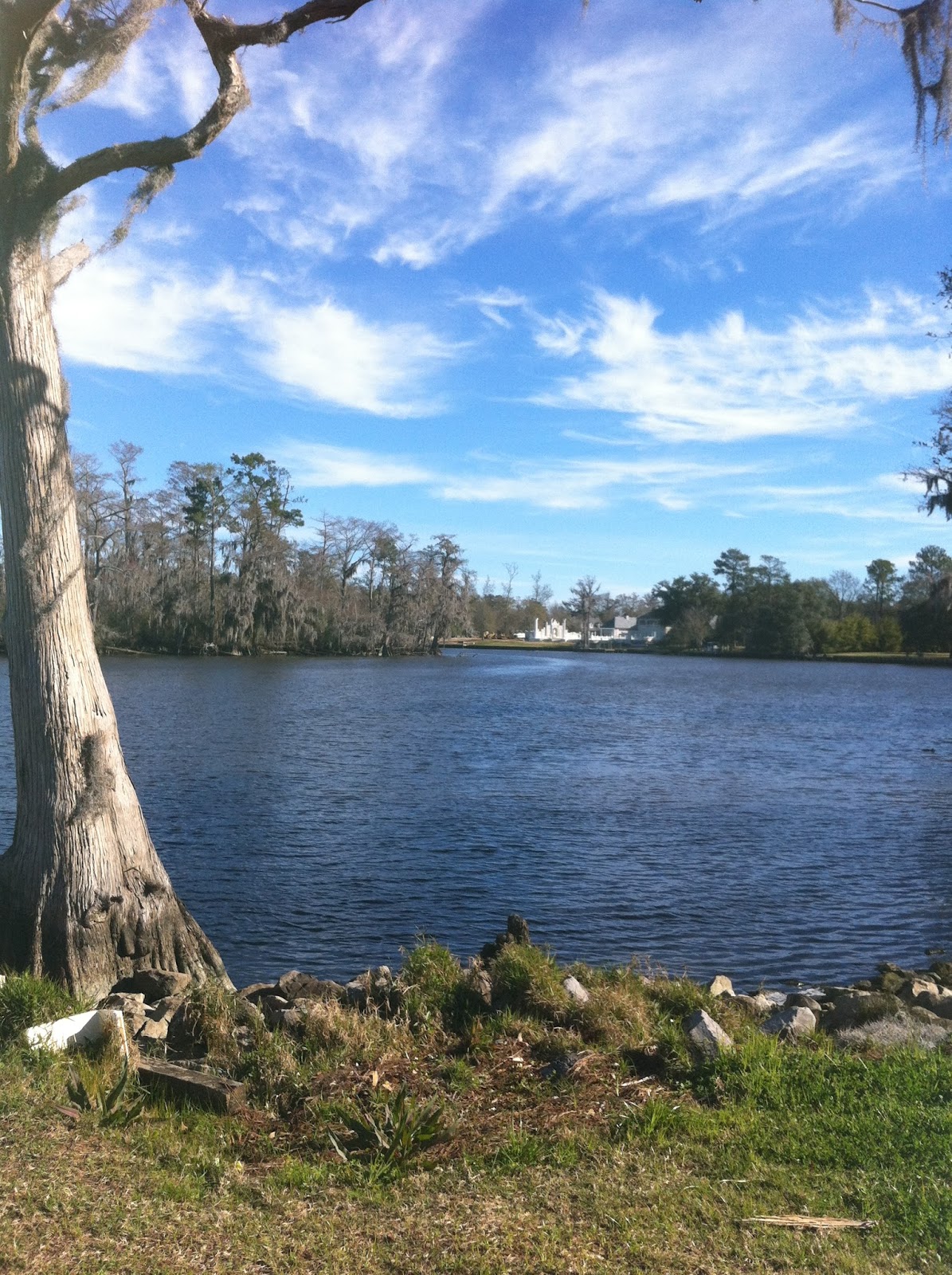 mardi gras river run