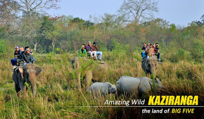 Kaziranga Elephant Safari Package Tour