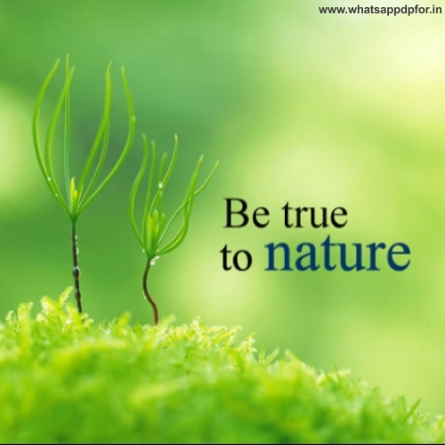 314+ NEW] Nature Images For Whatsapp Profile | Nature Whatsapp DP Download