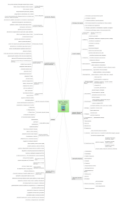 Интеллект-карта по книге Б.Трейси "Как управляют лучшие"