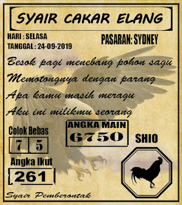 SYAIR SYDNEY 24-09-2019