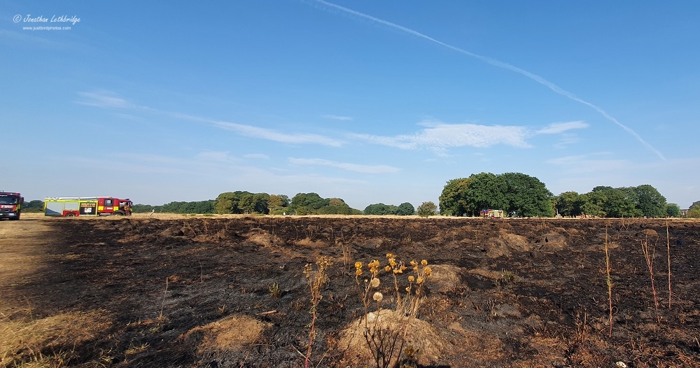 Wanstead Birder Another fire on Wanstead Flats