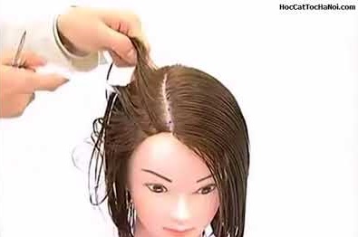 Video Học Cắt Tóc cơ bản, Basic Haircut Same Layer (Phần 1)