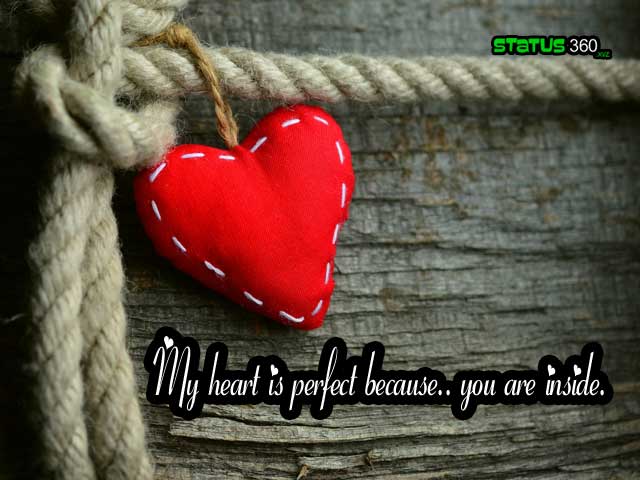Best Status Of Love / Love Shayari & Quotes Best Status Of Love / Love Shayari & Quotes