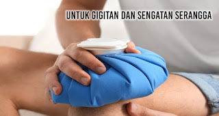 Untuk gigitan dan sengatan serangga