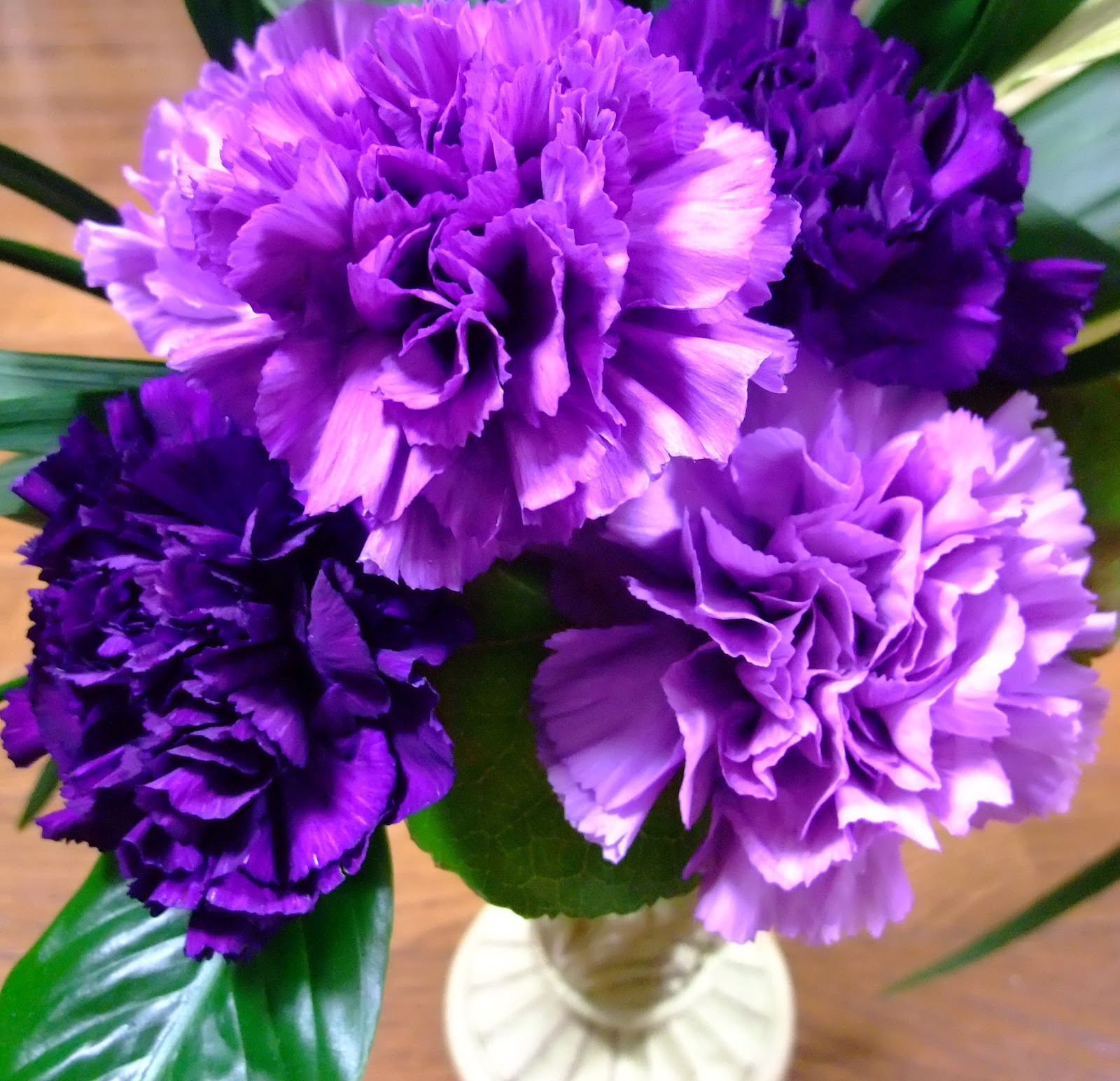 Flower Photos: Blue Scarlet Carnation