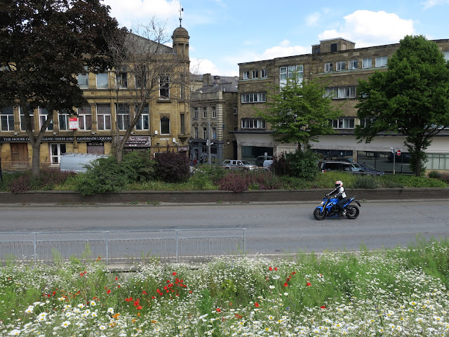 Motorbike passes bank of wild flowers in Halifax town centre, West Yorkshire.