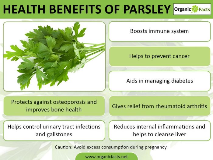 HEALTH BENEFITS OF PARSLEY
