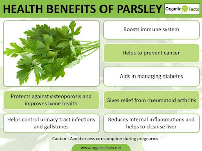  HEALTH BENEFITS OF PARSLEY
