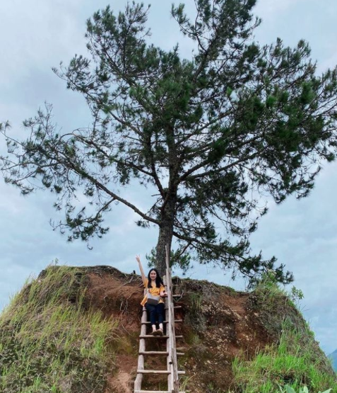 Bukit Satu Pohon Taman Simalem Resort, Tempat Tertinggi Menikmati
