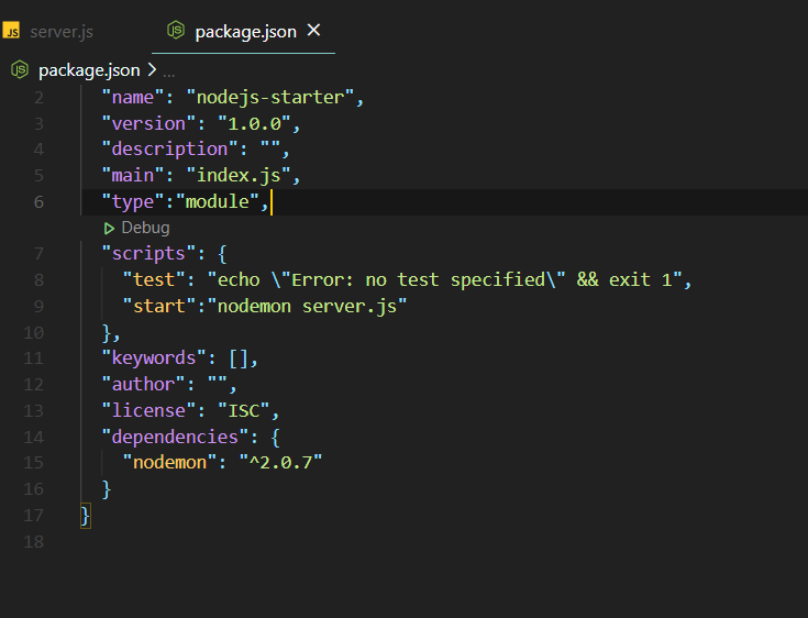 Javascript модуль. Package.json. Модуль js. Script Type Module что это. Окно управления параметрами json.