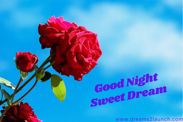 beautiful good night images