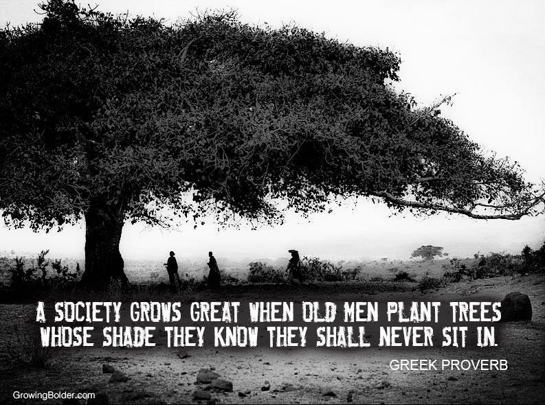 Proverb in Greek. People who Fear Plants. I see who you are Tree.