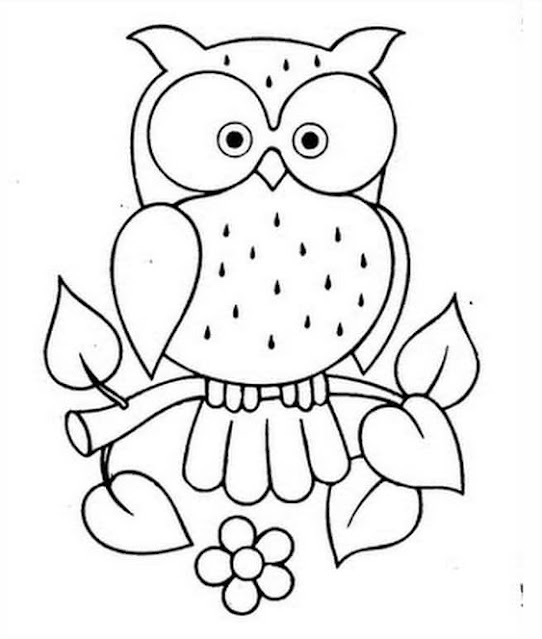 sketsa gambar burung hantu mudah sketsa gambar burung hantu mudah
