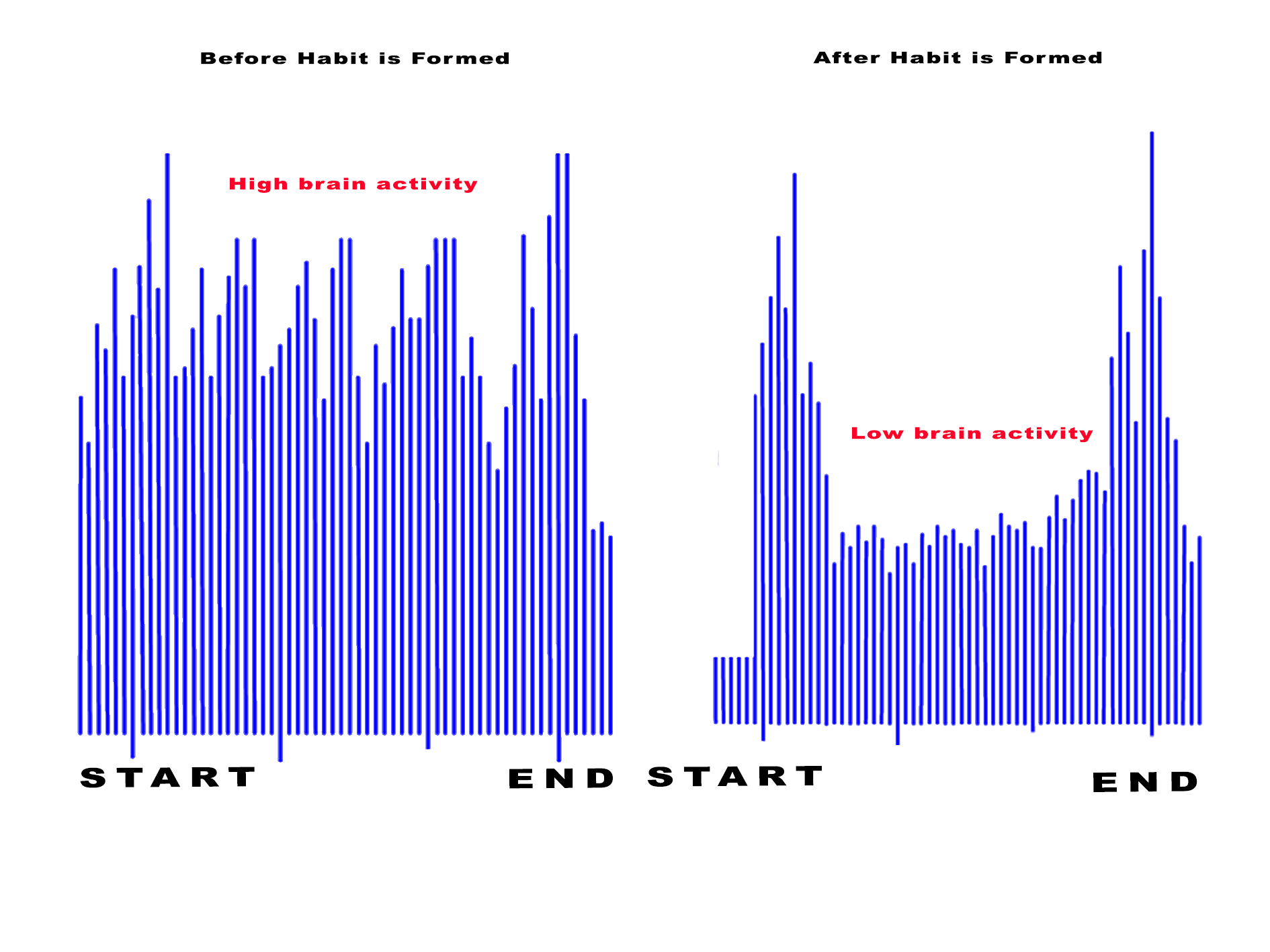 How our brain turn on Autopilot mode! Kamil Hassan