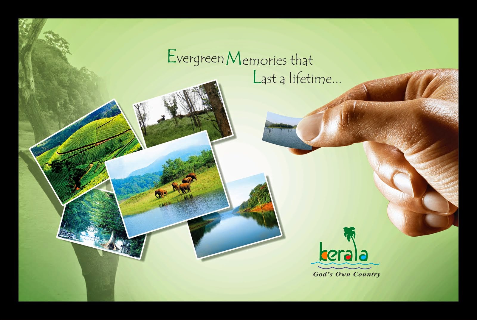 Last life time. Реклама туризма Kerala. Tourism poster. Last a Lifetime. Medial Tourism.