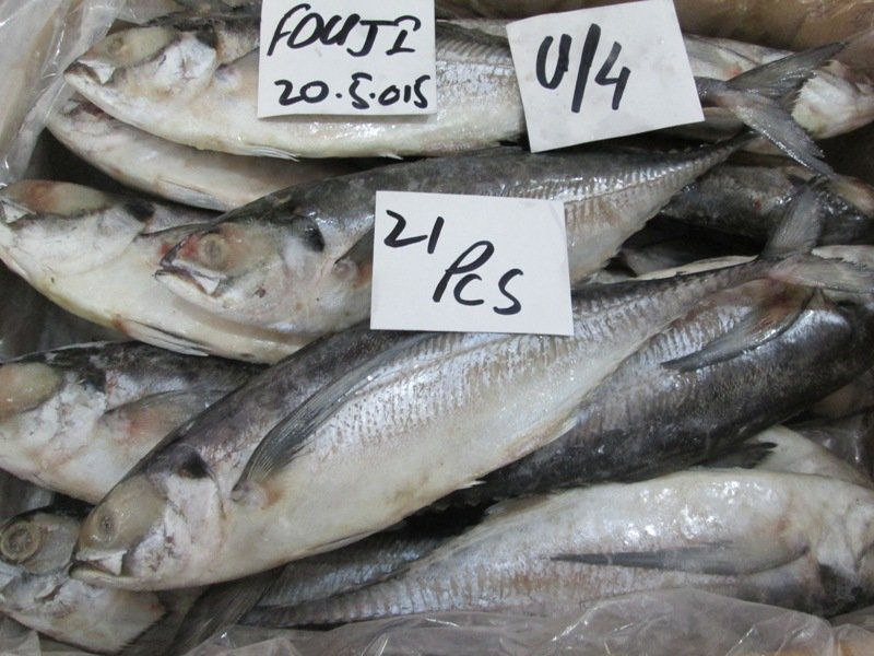 Mackerel Canned Fish, Mackerel Tomato Sauce, Mackerel Tin Fish, Price