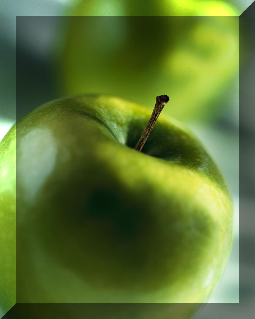 A brighter side of the grave Apples to Apples, Dust to Dust