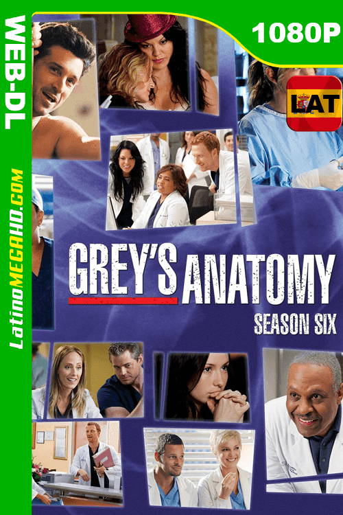 Anatomía según Grey (2009) Temporada 06 Latino HD WEB-DL 1080P ()