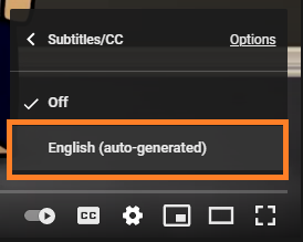 Youtube Subtitles for Other Languages