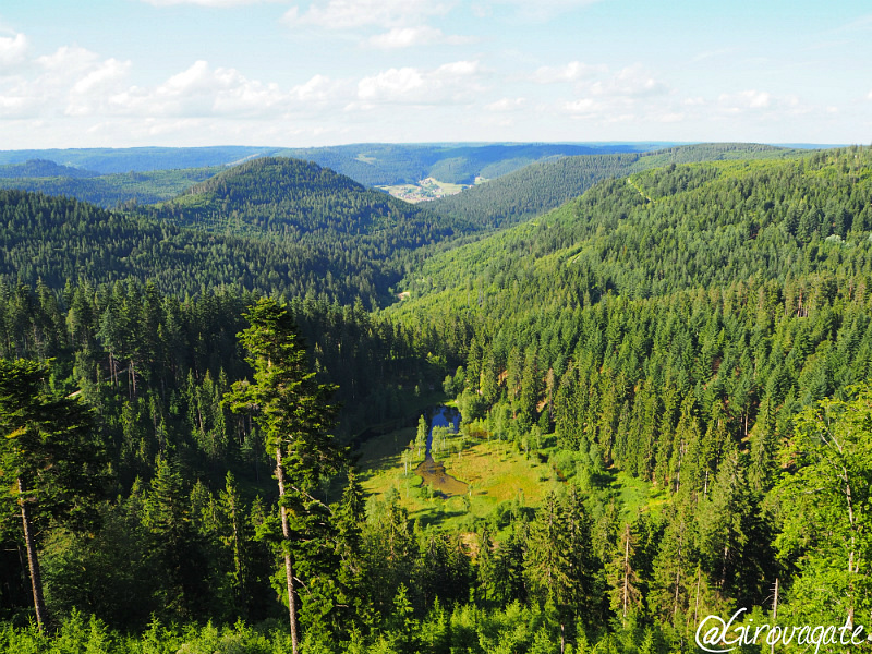 ellbachseeblick kniebis