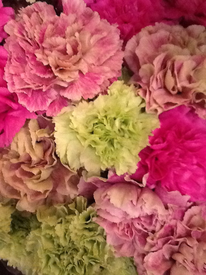 Ruiz de Ocenda Blog Clavelitos de