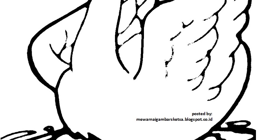 gambar mewarnai hewan bebek