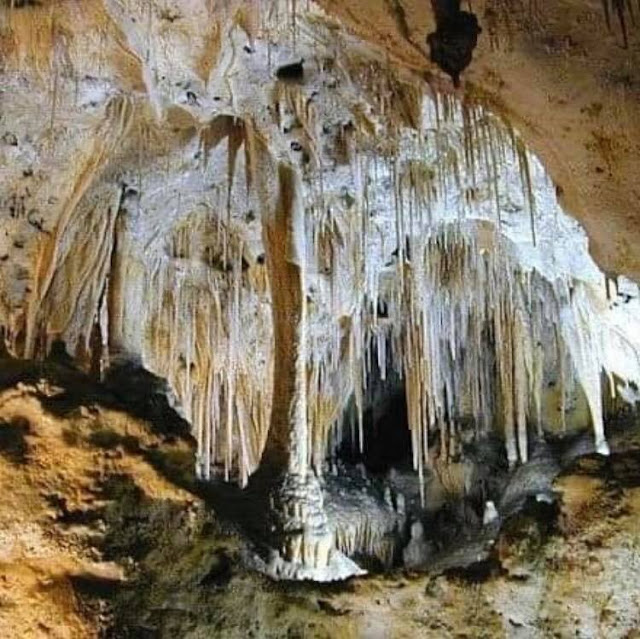 වවුල්පනේ භූගත හුණුගල් ගුහාවේ අසිරිය විදිමූ 🦇🌑🌫 (Waulpane Limestone Caves) - Your Choice Way