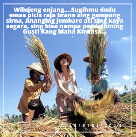 Arti Wilujeng Enjing Dan Contoh Ucapannya Dalam Bahasa Jawa Yosefpedia Com