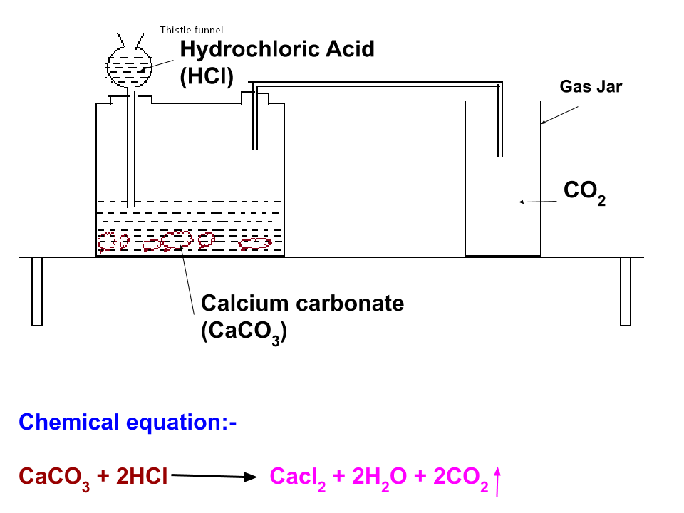 Draw Well labelled Diagram Of Laboratory Preparation Of Carbon Dioxide draw-well-labelled-diagram-of-laboratory-preparation-of-carbon-dioxide