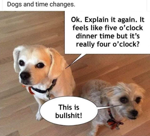 2.jpeg