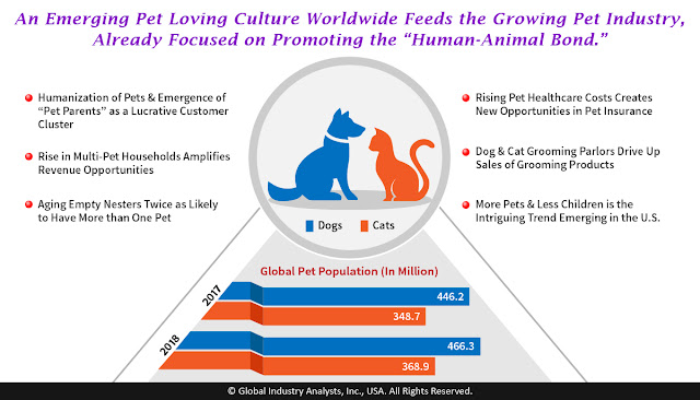 pet accessories industry