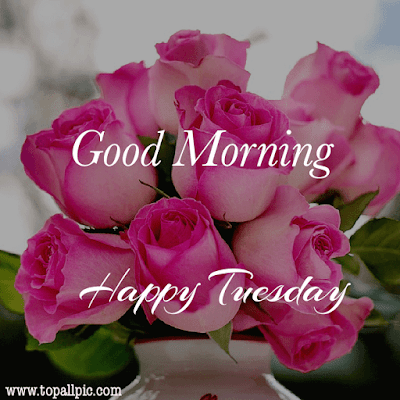 good morning tuesday images good morning tuesday images