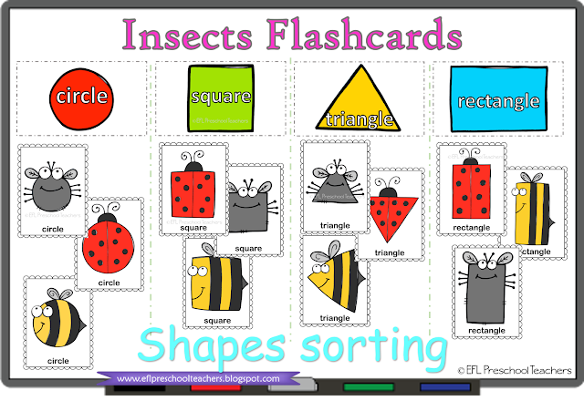 shapes of each insect