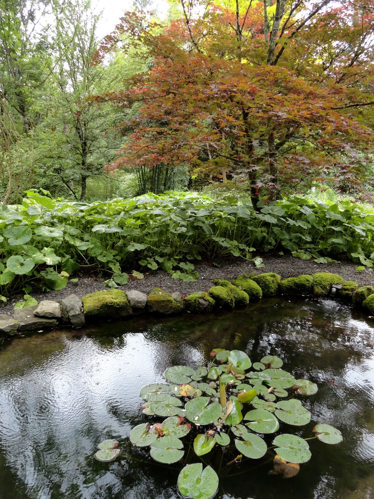 danger garden: Old Germantown Gardens