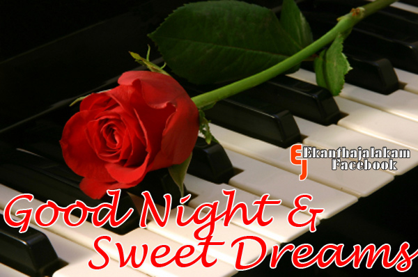 True love wishes and valentines day malayalam messages Lovely Quotes For You: Wishing u a nice dreamy night New HD