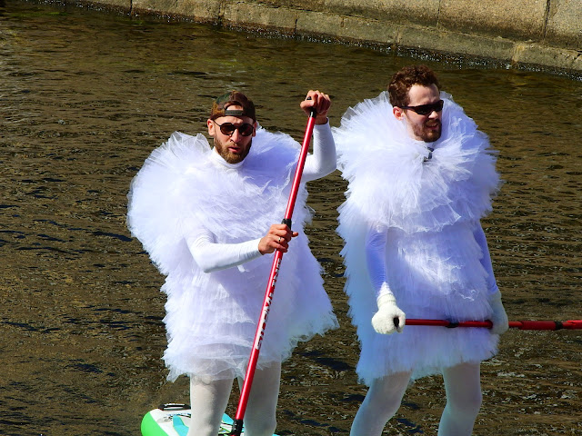 сап-фестиваль Фонтанки 2020