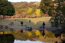 Kasugano Field