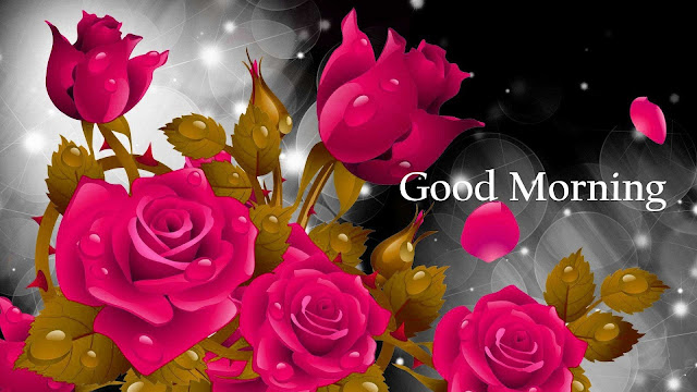 gd mng image, gd mng images, good morning image, gd mrng love image, good morning image with quotes, gd mrng image with quotes, gd mrng image love, gud morning image hd, gd mng images hd, good morning hd image, good morning image hd, gd mng images with quotes, gd mng images for lover, gd mrng love images, good morning images love, gd mrng images, gd morning image download, good morning image download, good morning image shayari, good morning shayari image, gd mng images with flowers, good morning images with flowers, good morning image in hindi, good morning god image, gd mrng new images, gd mrng image shayari, gd mng image, gd mng images, good morning image, gd mrng love image, good morning image with quotes, gd mrng image with quotes, gd mrng image love, gud morning image hd, gd mng images hd, good morning hd image, good morning image hd, gd mng images with quotes, gd mng images for lover, gd mrng love images, good morning images love, gd mrng images, gd morning image download, good morning image download, good morning image shayari, good morning shayari image, gd mng images with flowers, good morning images with flowers, good morning image in hindi, good morning god image, gd mrng new images, gd mrng image shayari,